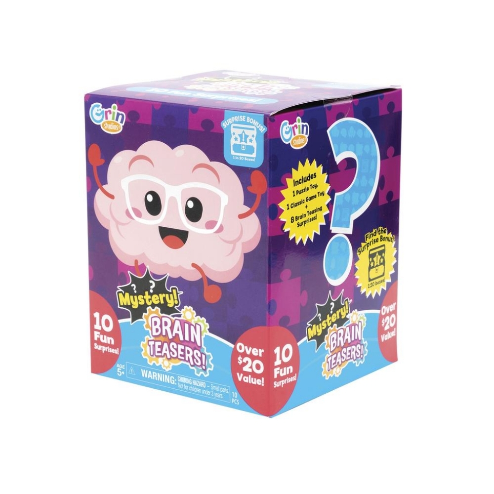 New - Brain Teasers Mystery Box